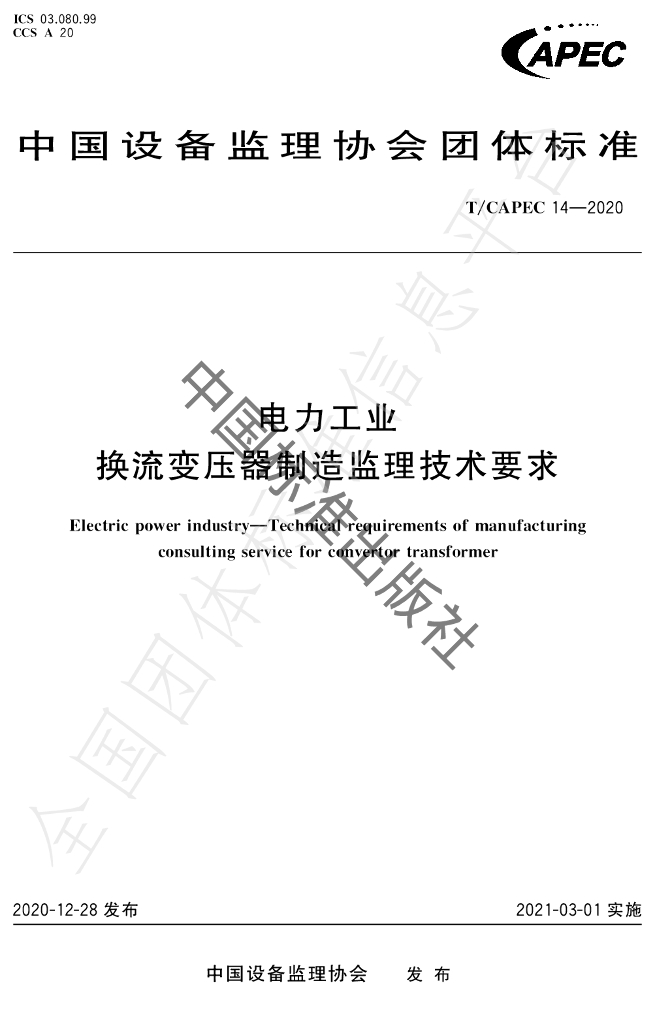 T/CAPEC 14-2020 标准预览