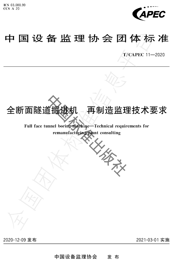 T/CAPEC 11-2020 标准预览