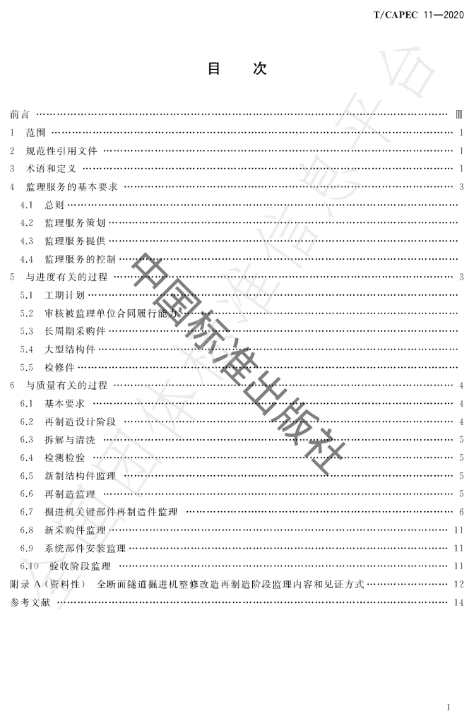 T/CAPEC 11-2020 标准预览