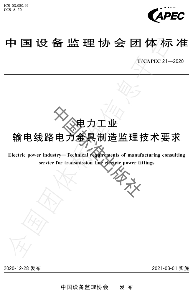 T/CAPEC 21-2020 标准预览