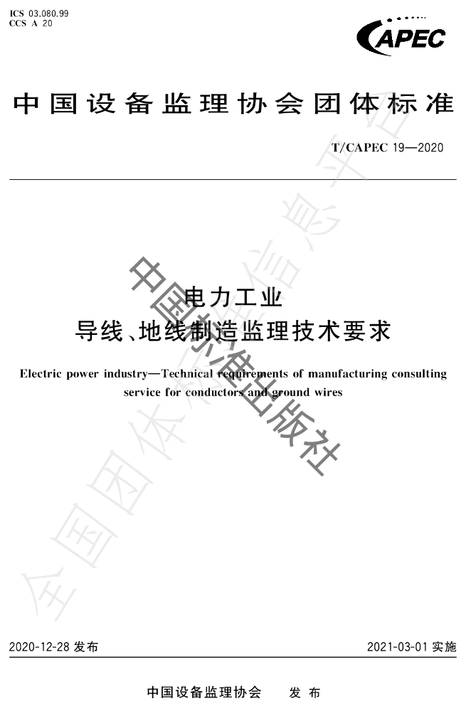T/CAPEC 19-2020 标准预览