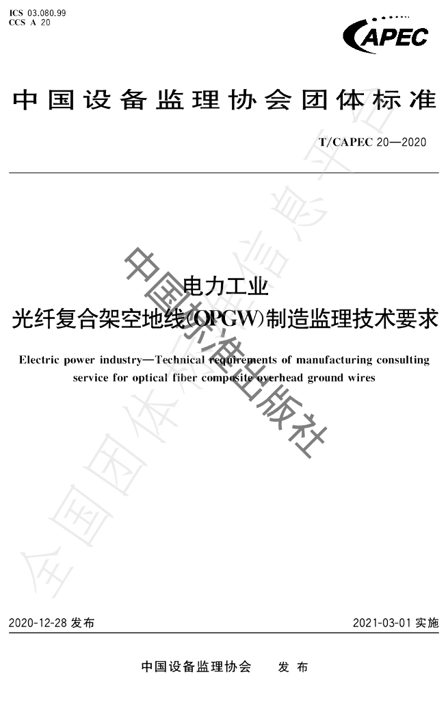 T/CAPEC 20-2020 标准预览