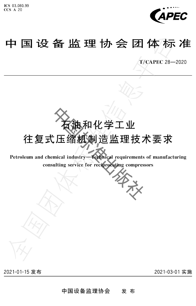 T/CAPEC 28-2020 标准预览