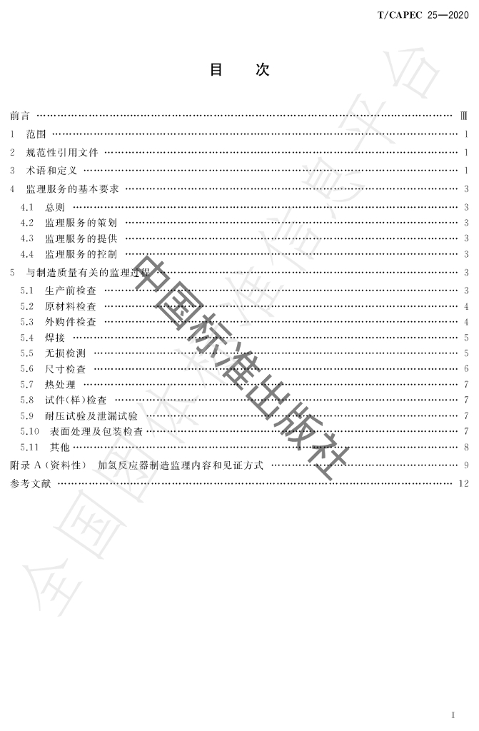 T/CAPEC 25-2020 标准预览