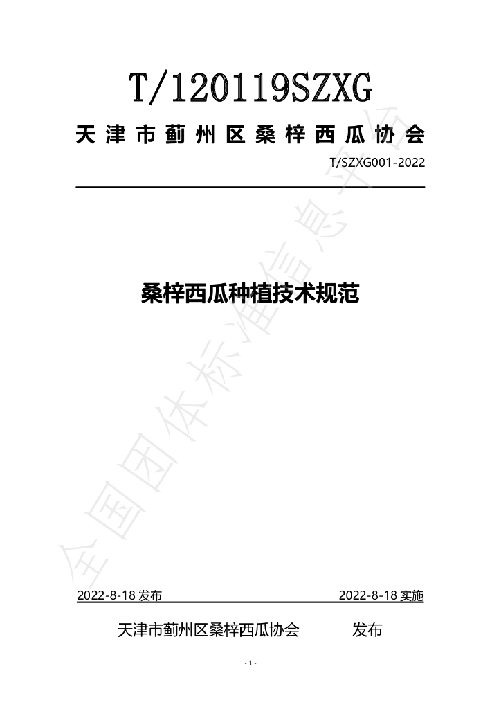 T/SZXG 001-2022 标准预览