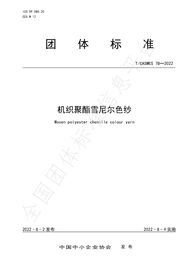 T/CASMES 78-2022 标准预览