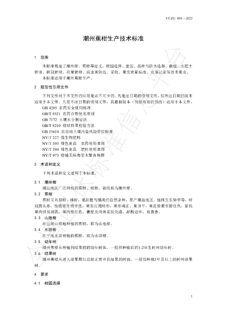 T/CZG 001-2022 标准预览