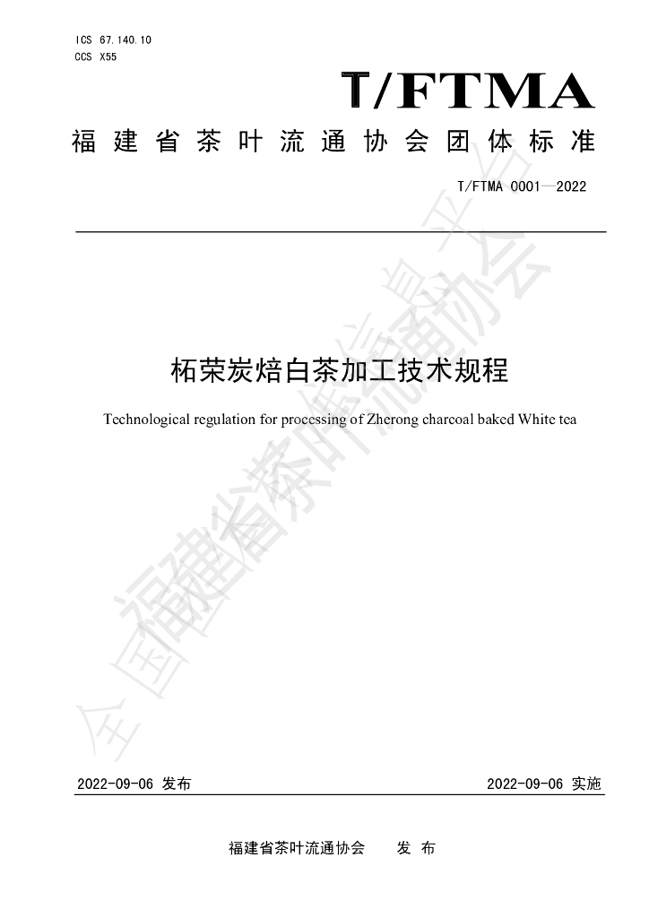 T/FTMA 0001-2022 标准预览