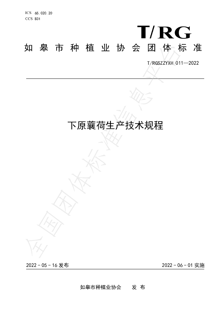 T/RGSZZYXH 011-2022 标准预览