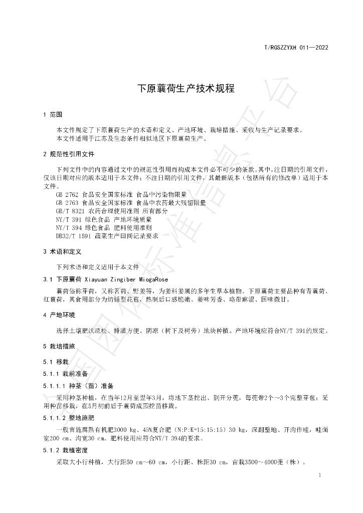 T/RGSZZYXH 011-2022 标准预览