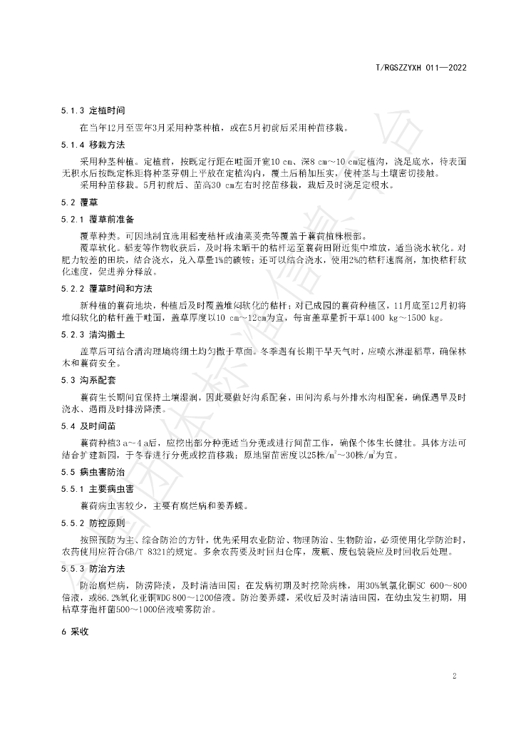 T/RGSZZYXH 011-2022 标准预览