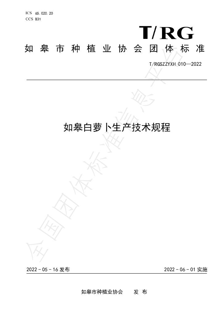 T/RGSZZYXH 010-2022 标准预览