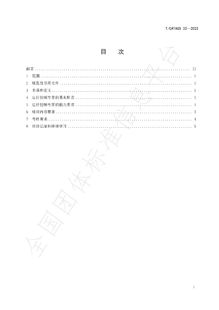 T/CATAGS 32-2022 标准预览