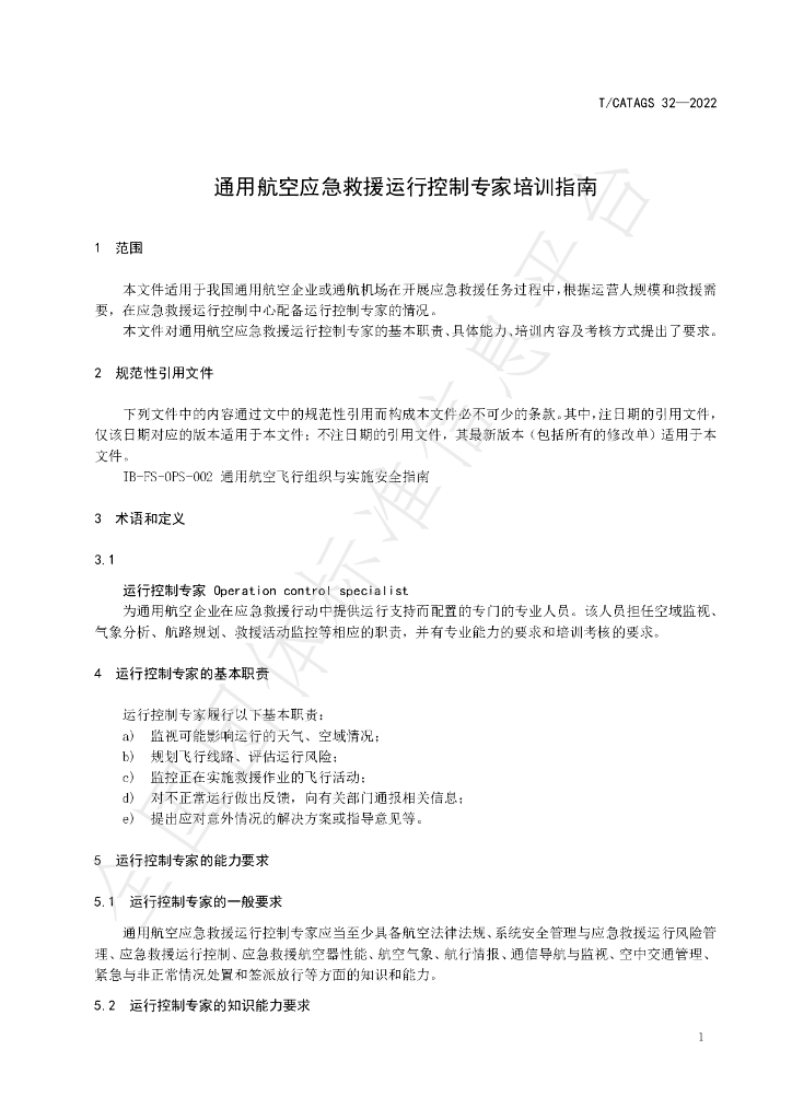 T/CATAGS 32-2022 标准预览