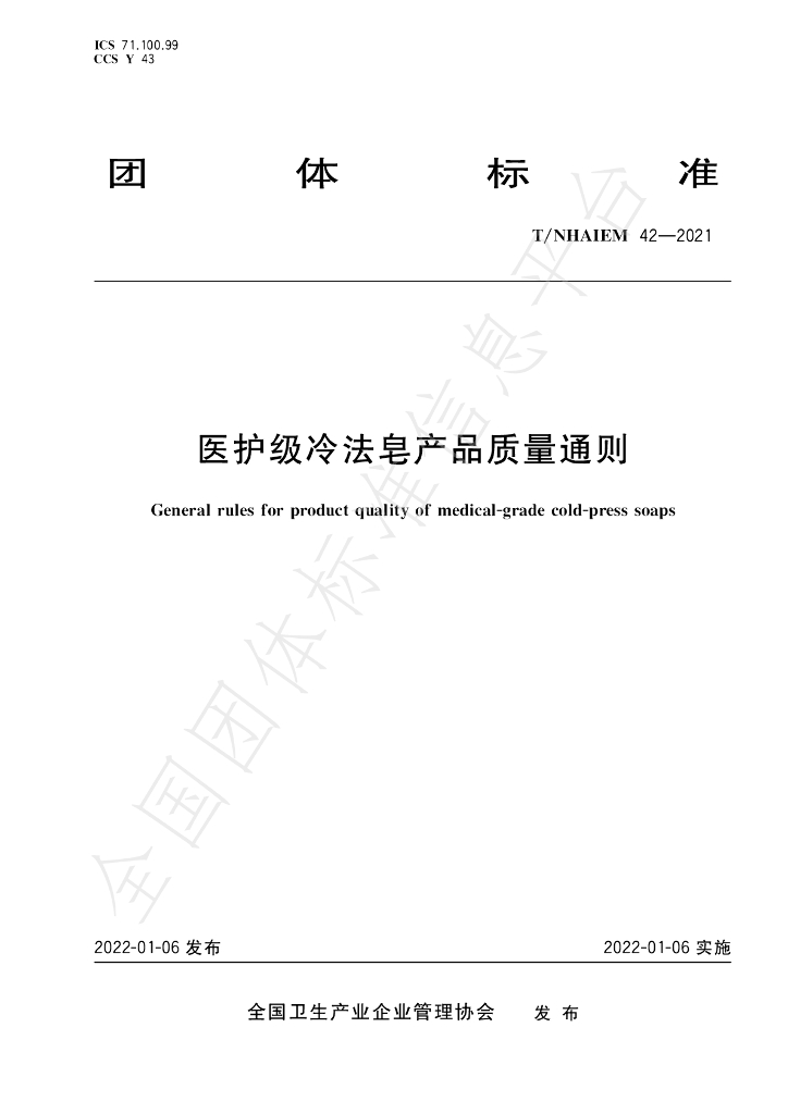T/NAHIEM 42-2022 标准预览