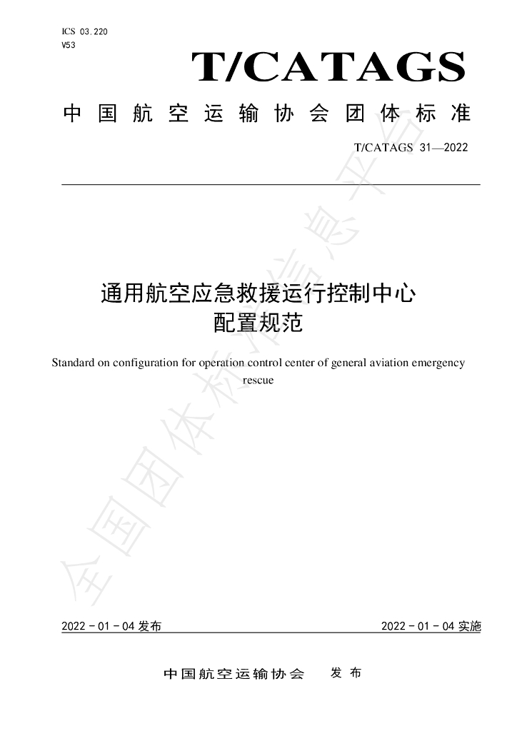 T/CATAGS 31-2022 标准预览