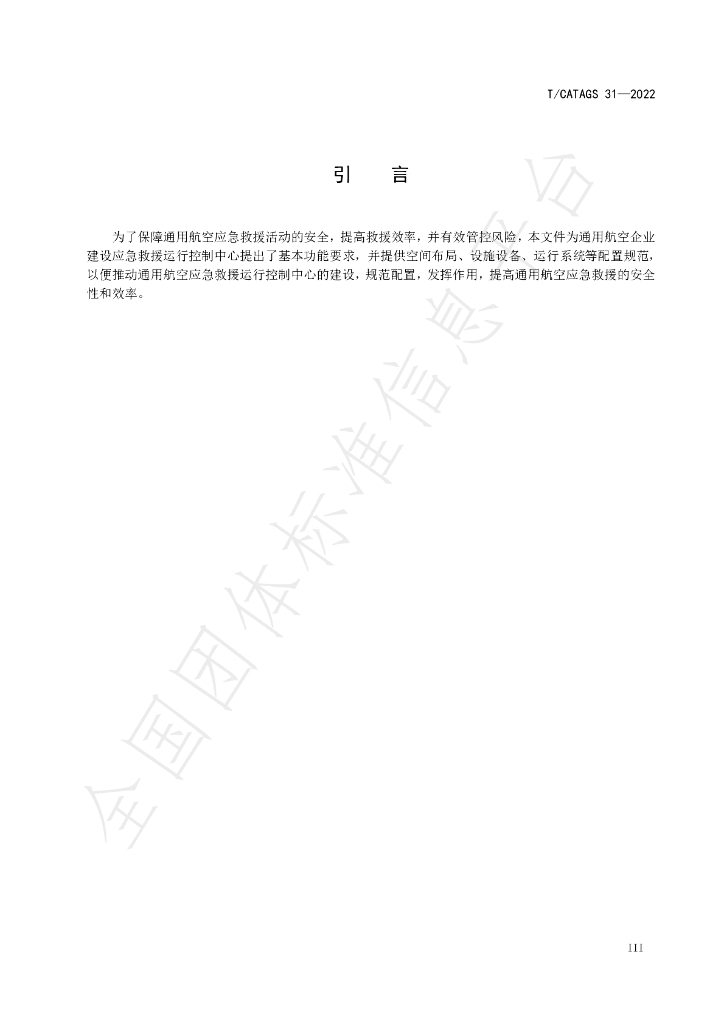 T/CATAGS 31-2022 标准预览