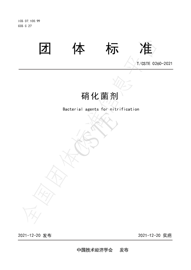 T/CSTE 0260-2021 标准预览