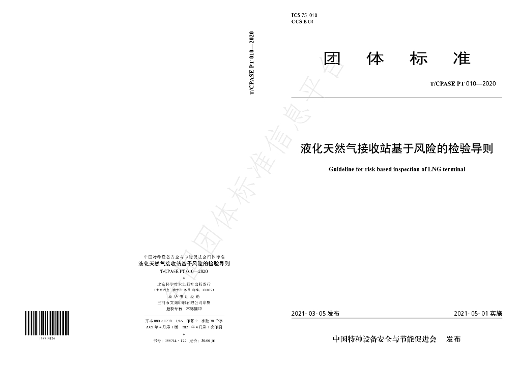 T/CPASE PT010-2020 标准预览