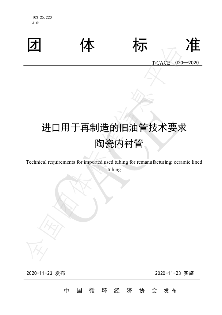 T/CACE 020-2020 标准预览