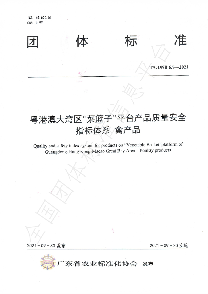 T/GDNB 6.7-2021 标准预览