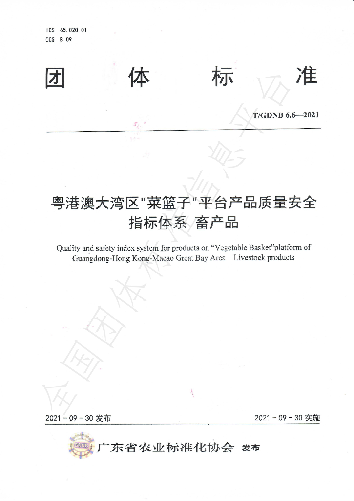 T/GDNB 6.6-2021 标准预览