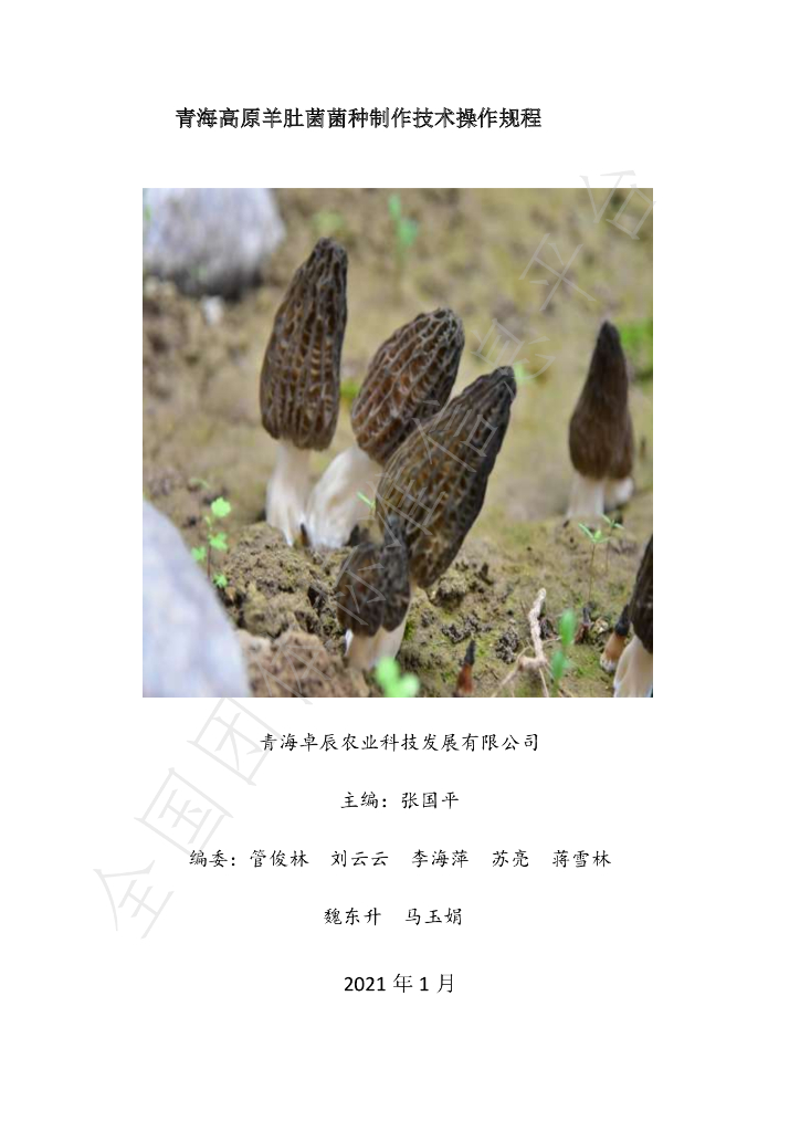 T/QHJLXH 001-2021 标准预览