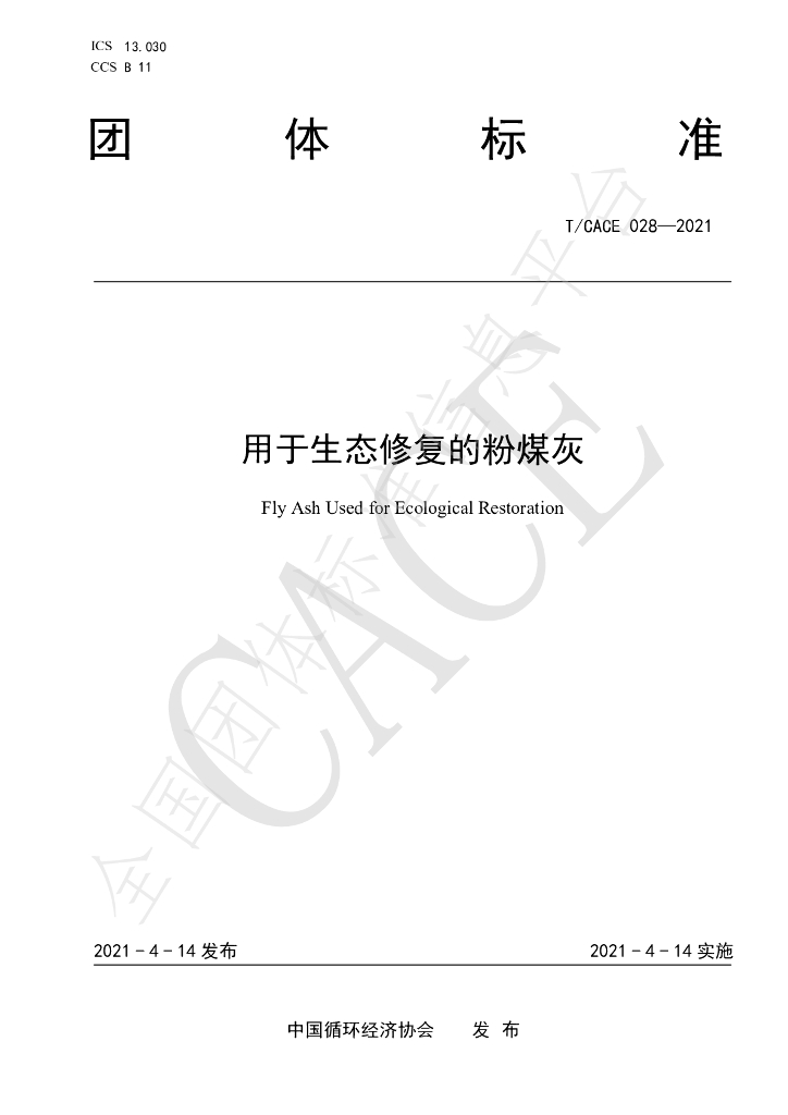 T/CACE 028-2021 标准预览