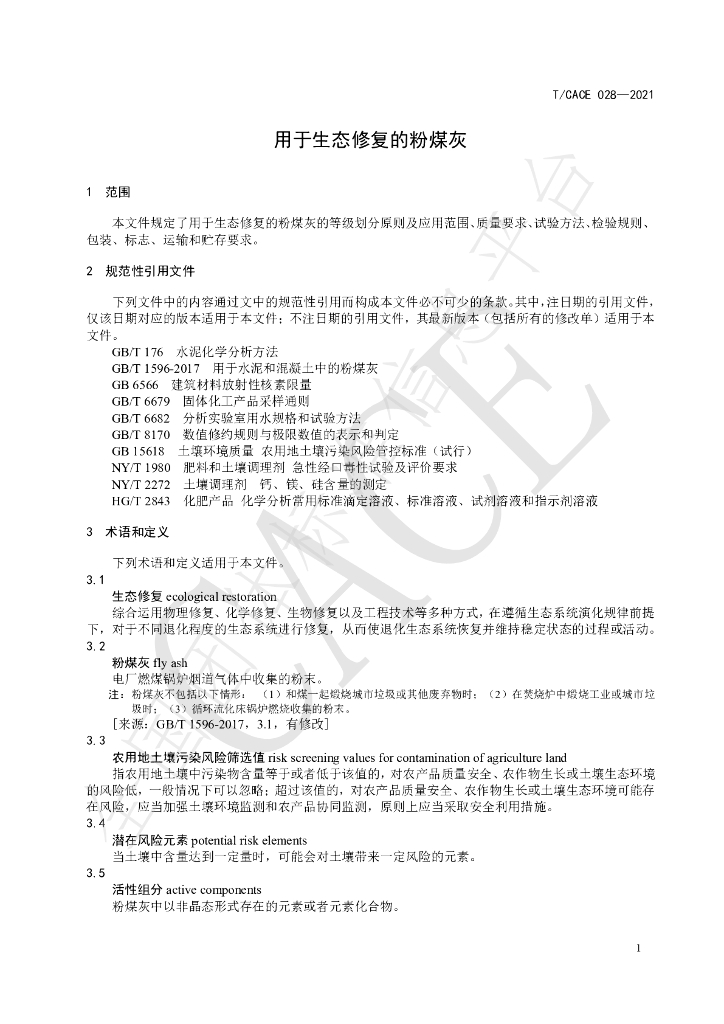 T/CACE 028-2021 标准预览
