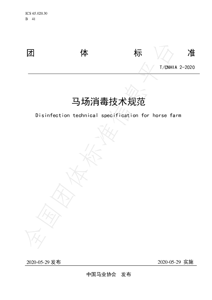 T/CNHIA 2-2020 标准预览