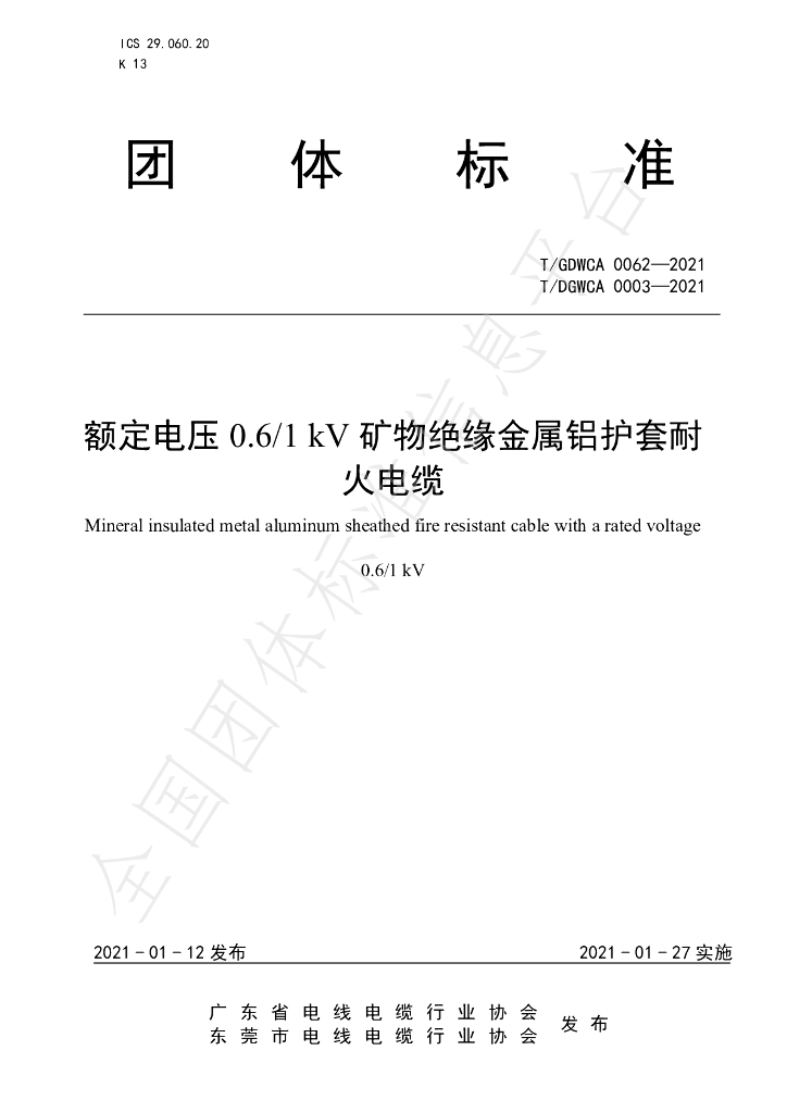 T/GDWCA 0062-2021 标准预览