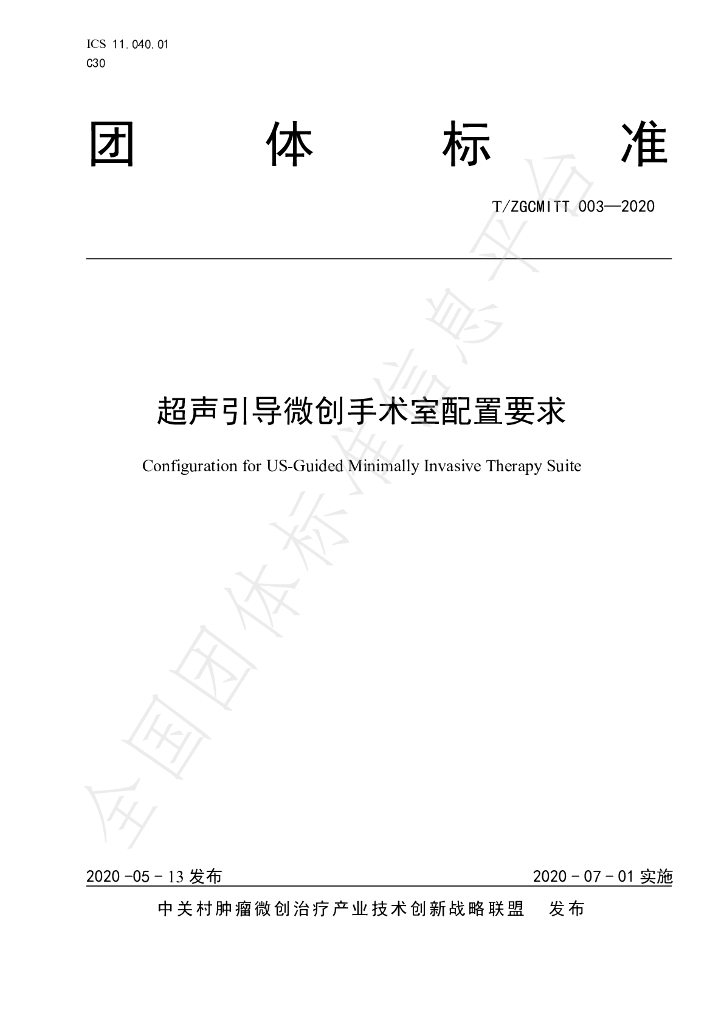 T/ZGCMITT 03-2020 标准预览