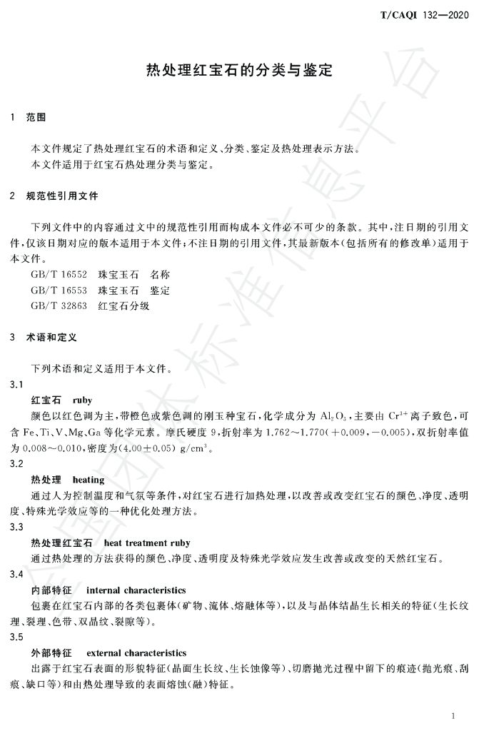 T/CAQI 132-2020 标准预览