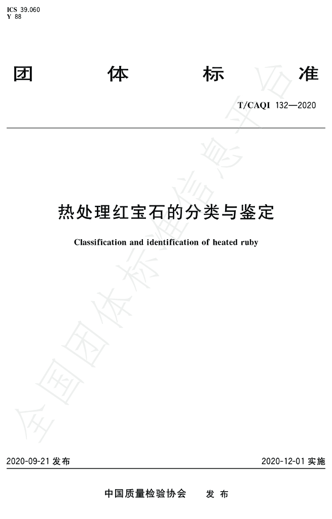 T/CAQI 132-2020 标准预览