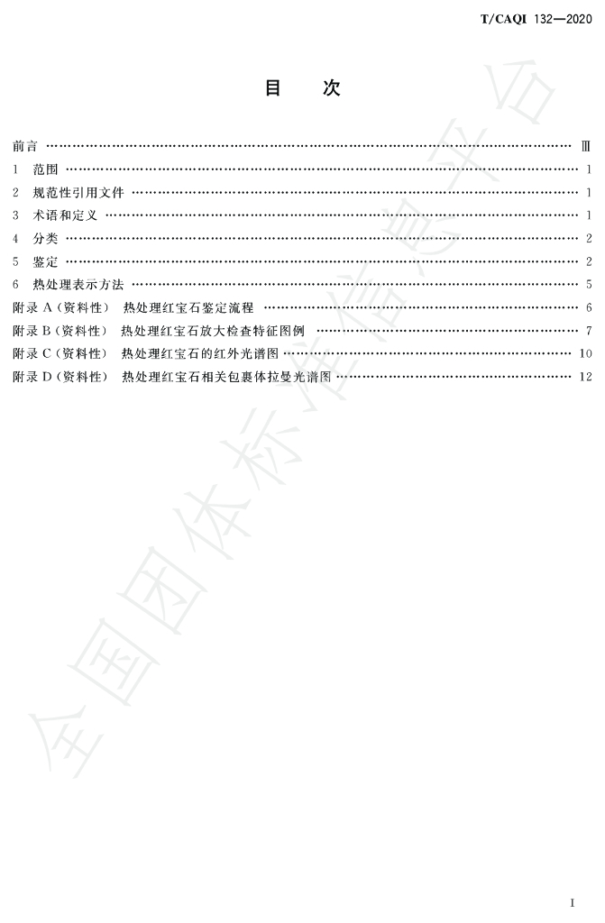 T/CAQI 132-2020 标准预览