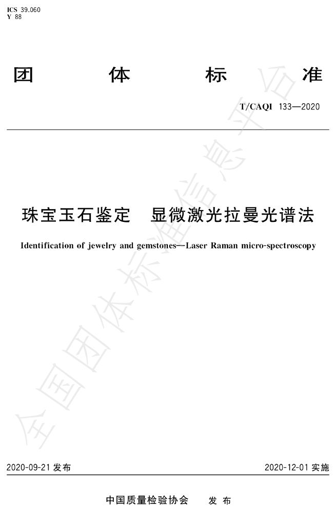 T/CAQI 133-2020 标准预览