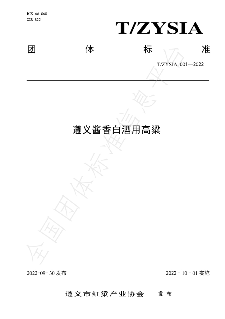 T/ZYSIA 001-2022 标准预览