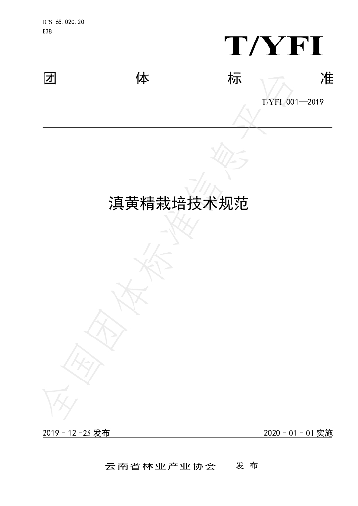 T/YAFI 001-2019 标准预览