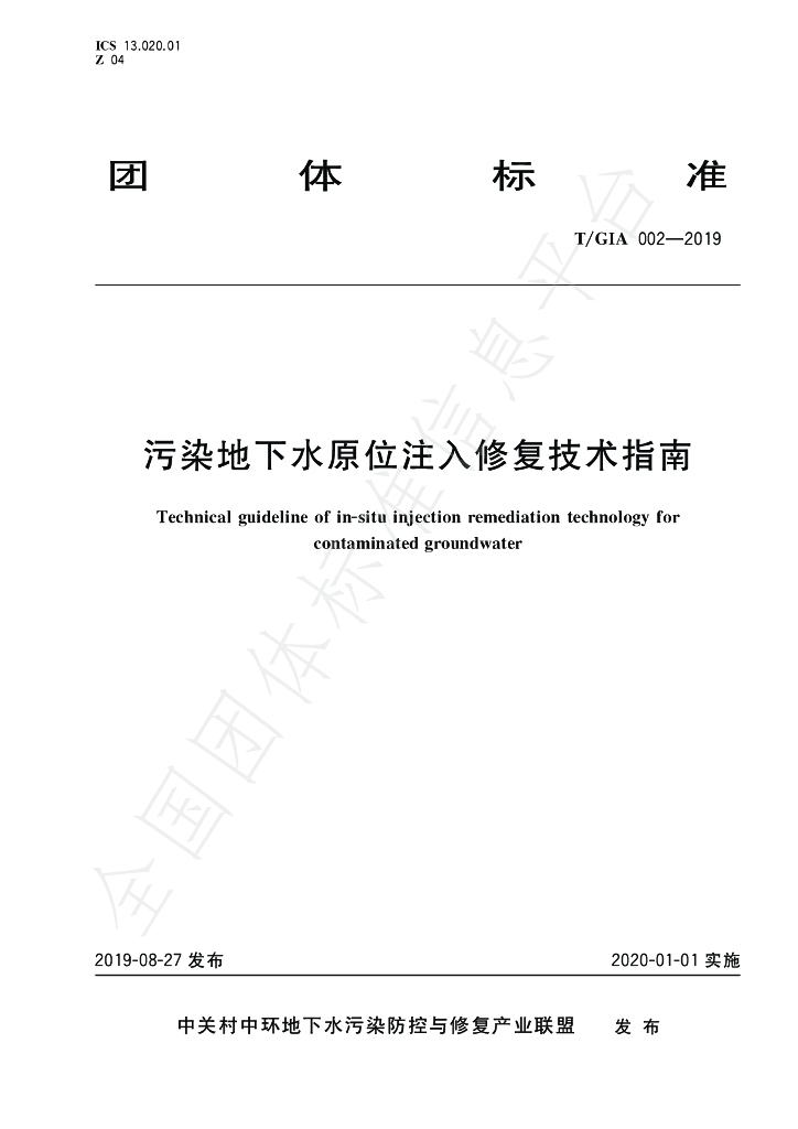 T/GIA 002-2019 标准预览