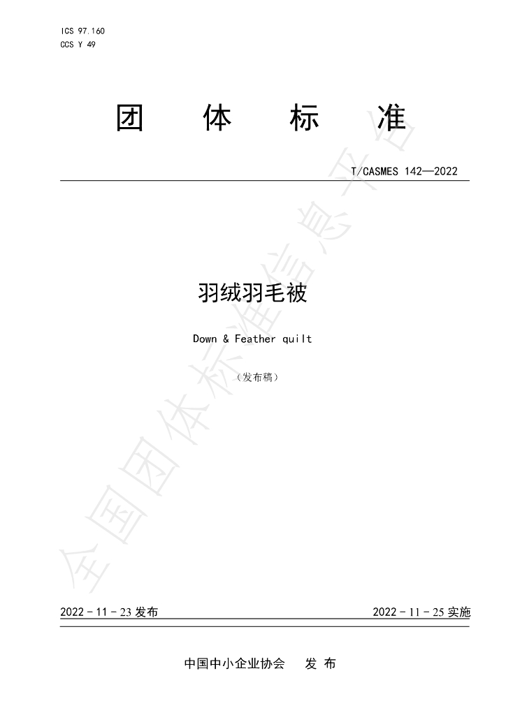 T/CASMES 142-2022 标准预览