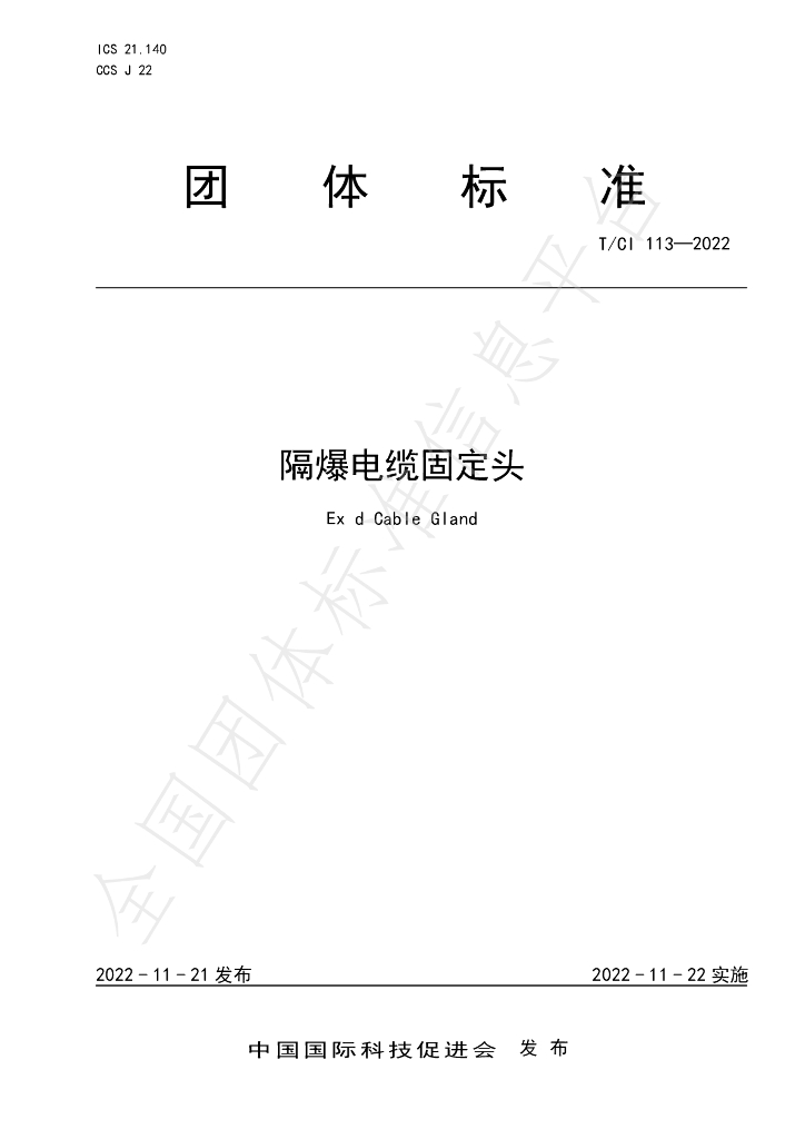 T/CI 113-2022 标准预览