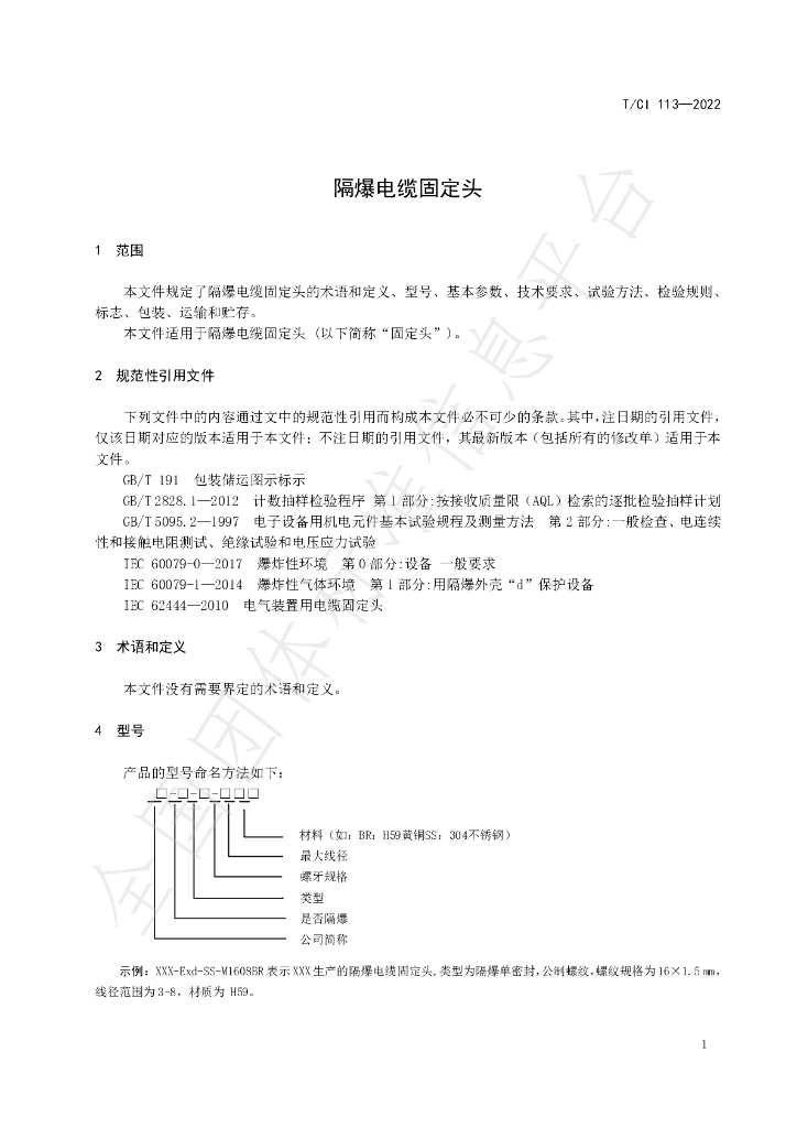 T/CI 113-2022 标准预览