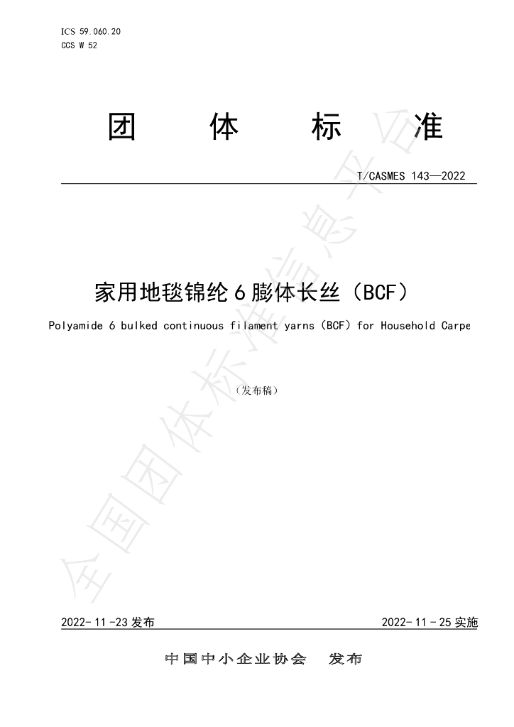 T/CASMES 143-2022 标准预览