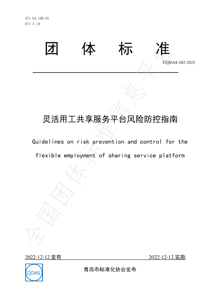 T/QDAS 102-2022 标准预览