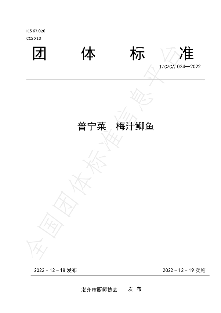 T/CZCA 024-2022 标准预览