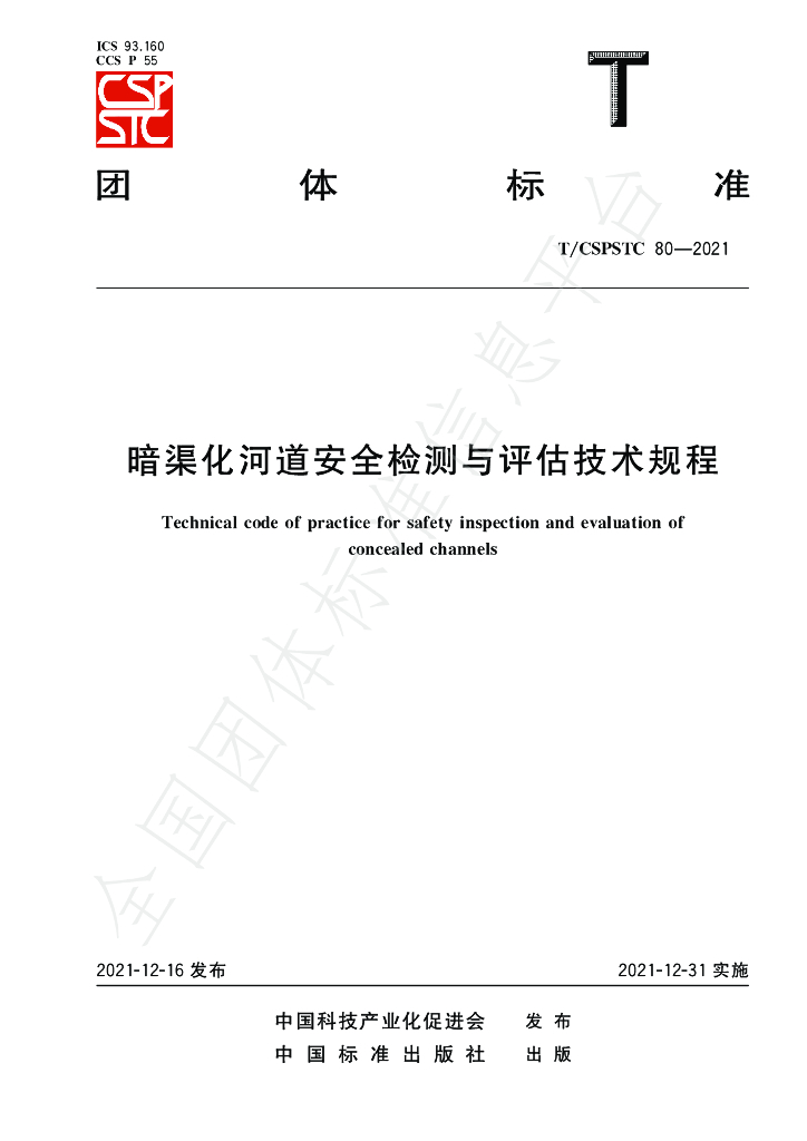 T/CSPSTC 80-2021 标准预览