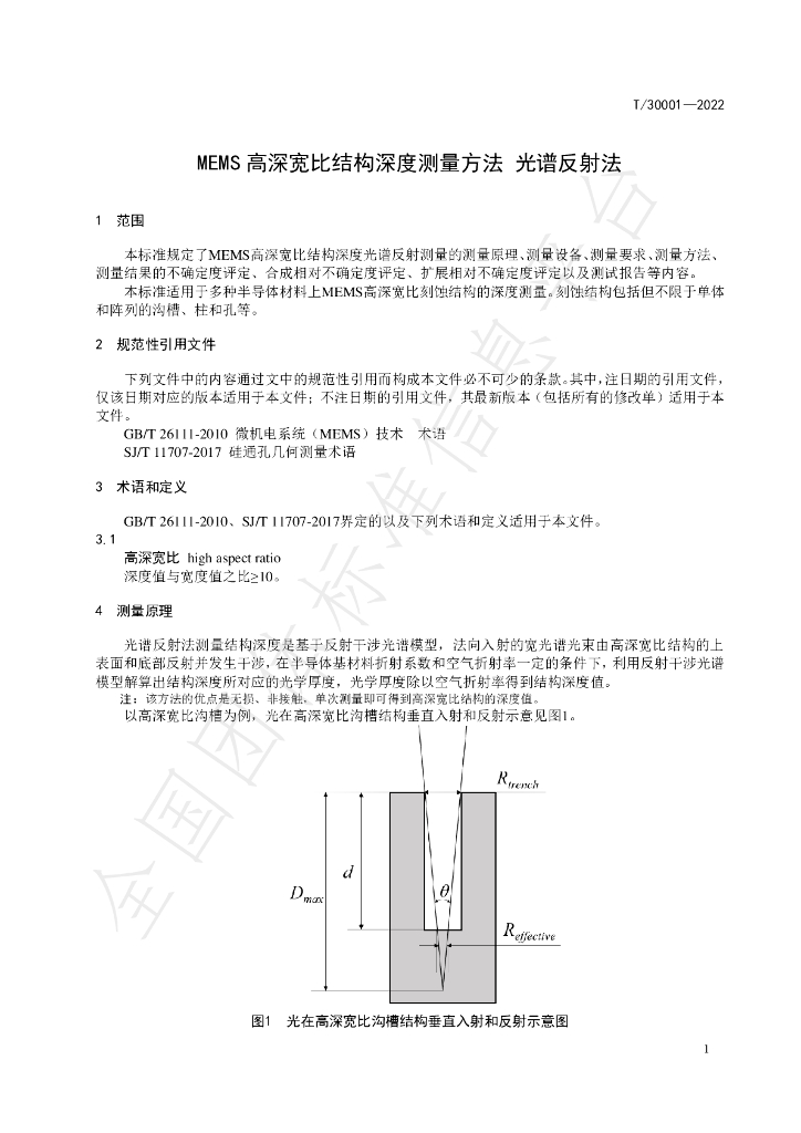 T/ZOIA 30001-2022 标准预览