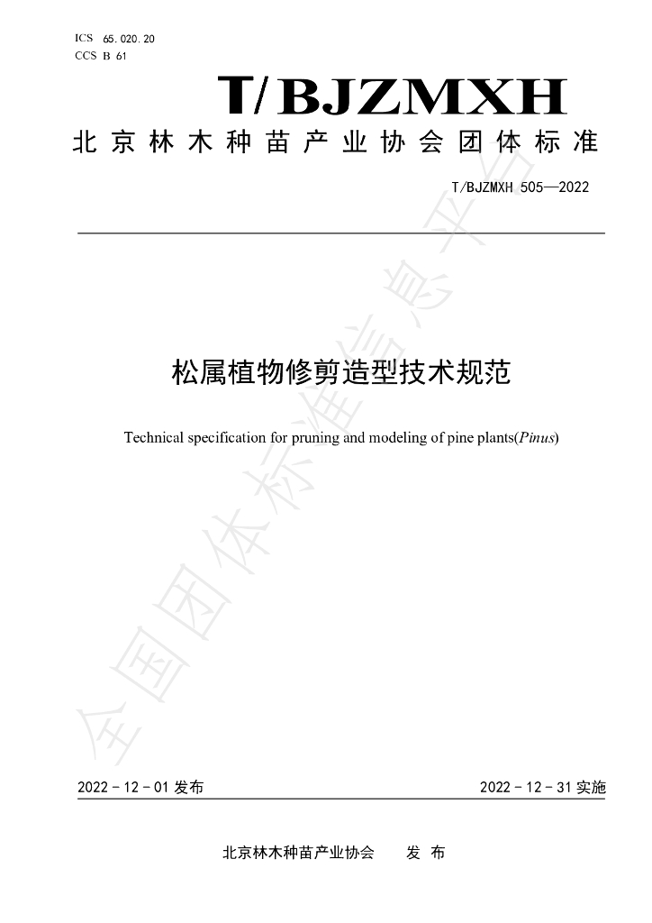 T/BJZMXH 505-2022 标准预览