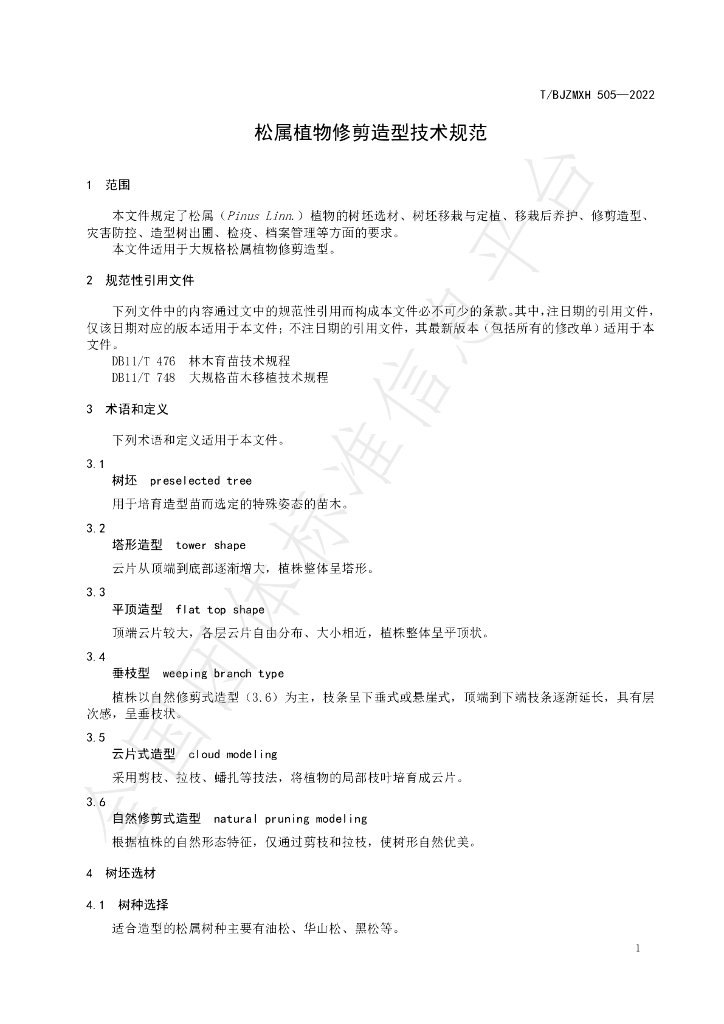T/BJZMXH 505-2022 标准预览