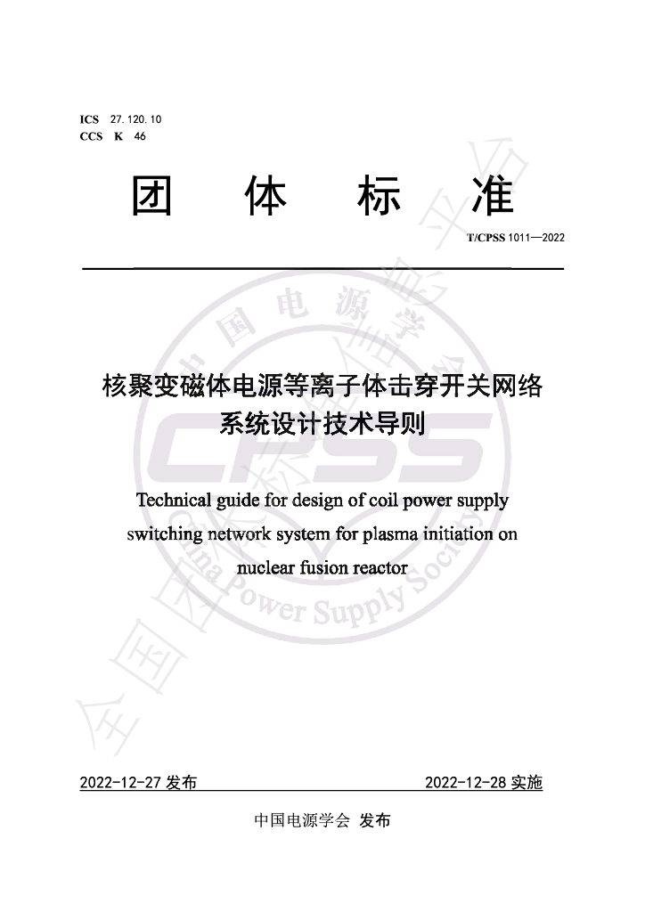 T/CPSS 1011-2022 标准预览
